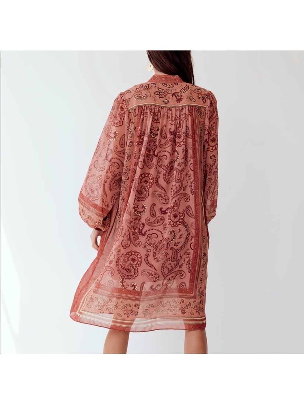 NWT Wilfred Solene Boho Dress Chiffon Long Sleeve Hippie Terracotta Rust Folk - Picture 2 of 13